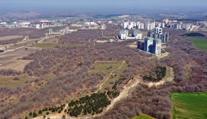 58 Hektarlık Kent Ormanı çalışmaları başladı