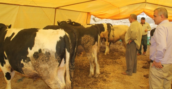 Kurban Hizmetleri Komisyonu toplandı